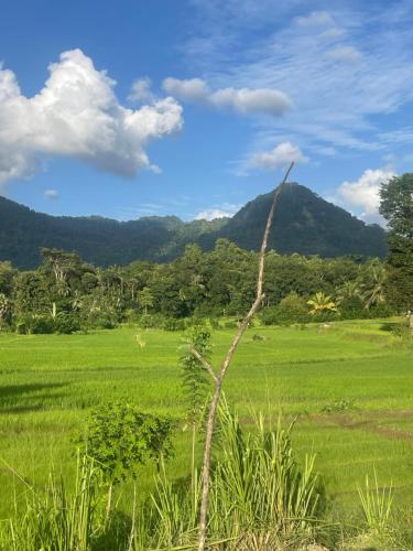a field of grass with a mountain in the background at Pinna Flower Homestay Cabana in Rambukkana