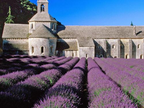 Taman di luar Luxury villa in Provence with a private pool