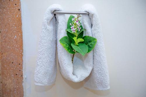 a plant in a towel holder on a wall at Art Hotel Zanzibar in Jambiani