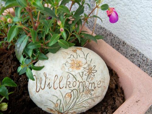 a rock with a plant in a flower pot at Welcoming apartment in Stummerberg with terrace in Stummerberg