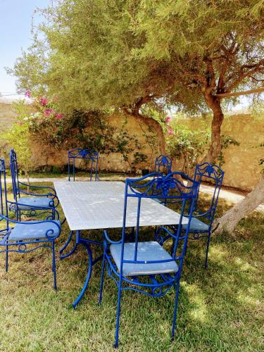 Κήπος έξω από το Parenthèse enchantée à Essaouira