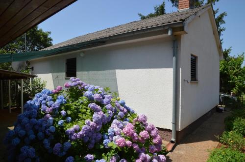 Holiday Home Leni