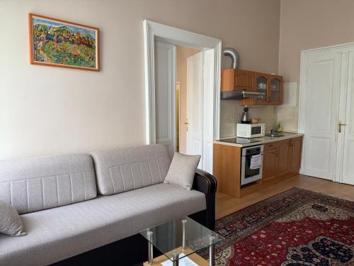 a living room with a couch and a kitchen at Salve Teplice in Teplice
