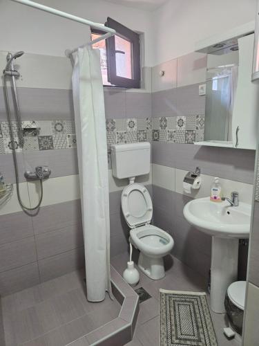 ドニー・ミラノヴァツにあるApartman Jaredić - Private Accommodation, Privatni Smeštajのトイレと洗面台付きのバスルーム