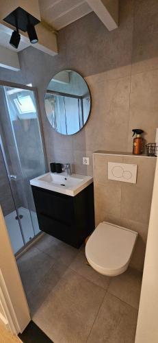 a bathroom with a toilet and a sink and a mirror at Bulbs & Beach in Noordwijk