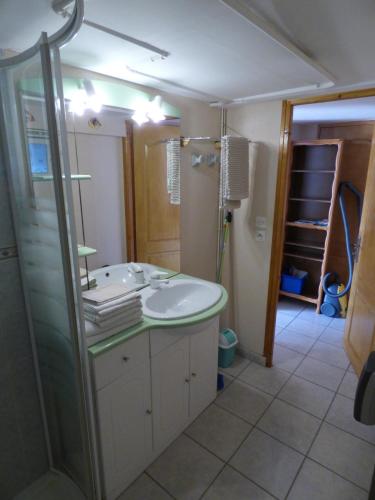 une salle de bain avec lavabo et douche dans l'établissement Côté jardin, 