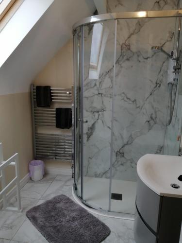 a bathroom with a shower and a sink at Home from home with a sea view in Rossnowlagh