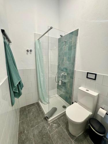 a bathroom with a shower and a toilet at El Hierro in Ingenio