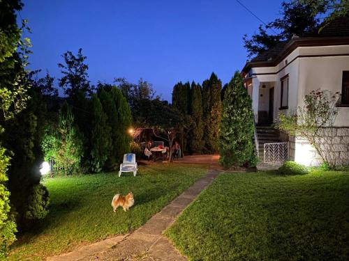 a dog walking in the yard of a house at Kuća Mihajlović in Gradašnica
