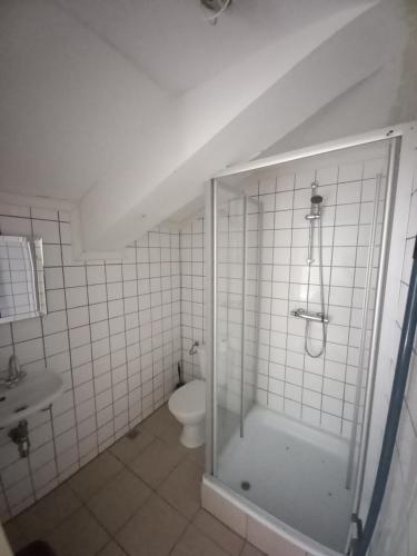 Bilik mandi di BenB Pieterburen Broek