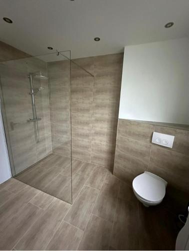 ein Badezimmer mit Toilette und Glasdusche in der Unterkunft Welliebeach Große Ferienwohnung in Hameln