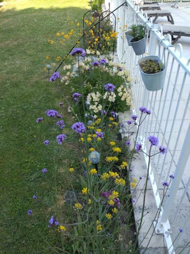 a garden with purple and yellow flowers next to a fence at B&B Franglaise in Romagne