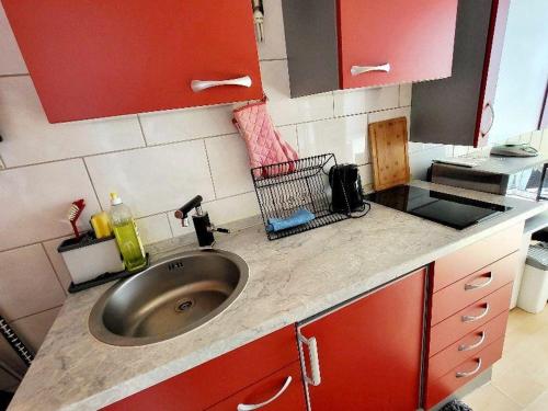 Dapur atau dapur kecil di 1Zimmerapp-Seerose