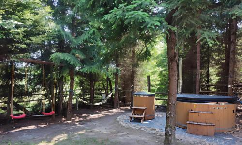 a park with a hammock and a bench and trees at Domek Gajowy-5 in Białowieża