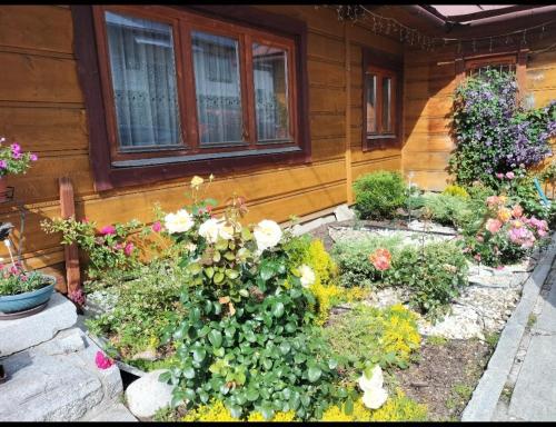 a garden of flowers in front of a house at U Bobaków in Murzasichle
