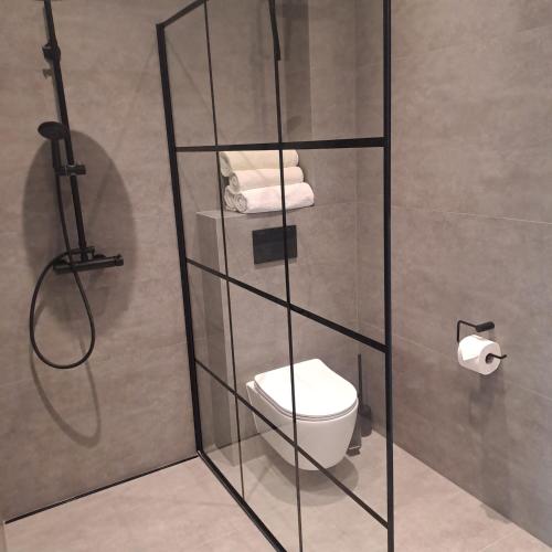 a bathroom with a glass shower stall with a toilet at Apartamenty Zagórze 55 in Zagórze