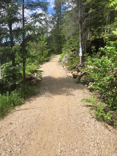 a dirt road in the middle of a forest at Lancestral in Saint Come
