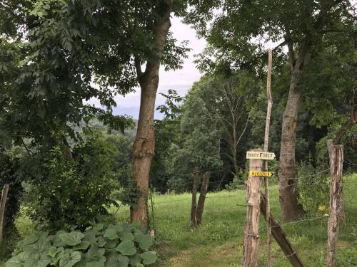 Taman di luar Gite du bosc