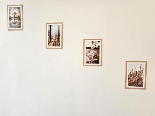 a group of framed photographs on a white wall at odak turizm konutları 2 in Manavgat