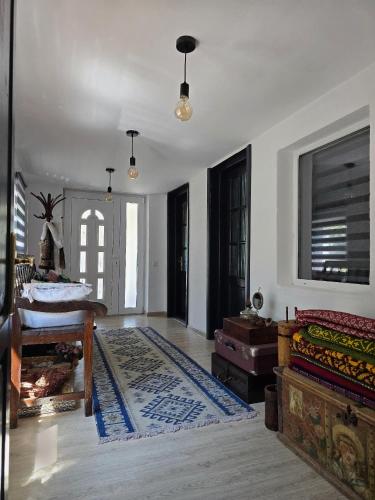 a living room with a rug on the floor at Casa tradițională Eridav in Arcani