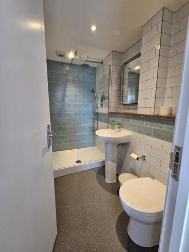 a bathroom with a toilet and a sink and a shower at Cockhaven Arms in Bishopsteignton