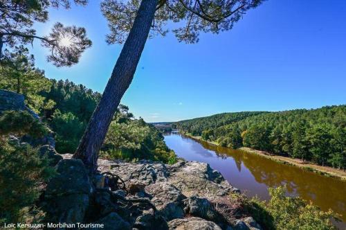 a tree sitting on top of a rock next to a river at Gite de branfere in La Gacilly