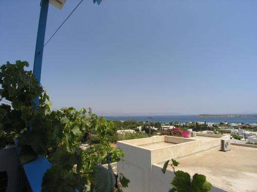 Fotografie z fotogalerie ubytování Studios Panorama Drios v destinaci Drios