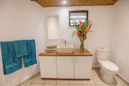 a bathroom with a toilet and a vase of flowers on a counter at Angels Beachhouse - Beachfront, fast internet, Queen beds, new owners in Port Vila