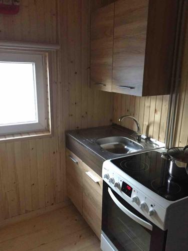 a small kitchen with a stove and a sink at Затишок in Verkhniy Yasenov