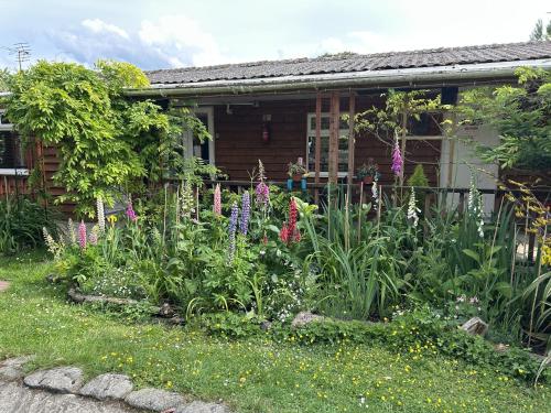 a garden in front of a house with flowers at Woodpaddock Bed & Breakfast in March