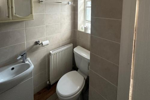 a bathroom with a white toilet and a sink at Cozy 1 Bed Apt Sleeps 4 with Garden Views in Hounslow