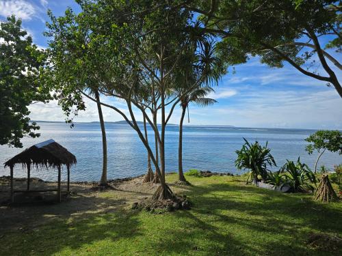 a view of the ocean from a beach with trees at Angels Beachhouse - Beachfront, fast internet, Queen beds, new owners in Port Vila