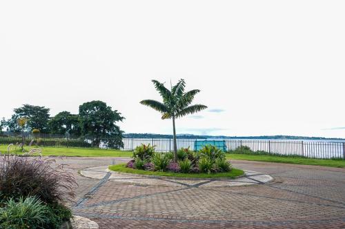 a palm tree in the middle of a parking lot at Cozy Luxe Haven Lakeside Condo in Entebbe in Entebbe