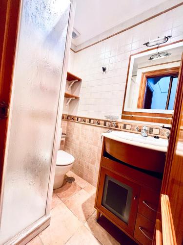 a bathroom with a sink and a toilet and a mirror at Costa Suri Casa in Nerja