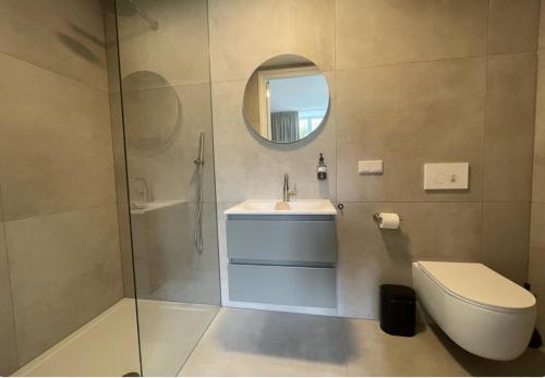 a bathroom with a toilet and a sink and a mirror at Luxe Suite - New Bed - Wifi- Safe City Center in Tilburg