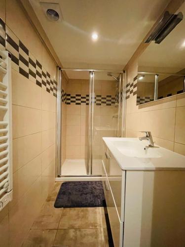 a bathroom with a shower and a sink at Côté Nature in Sciez
