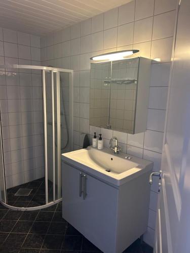 a bathroom with a sink and a mirror and a shower at A cosy flat in the heart of Stavanger in Stavanger