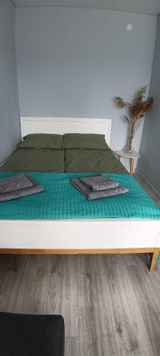 a bed with a green comforter in a bedroom at Sea&Sun in Liepāja