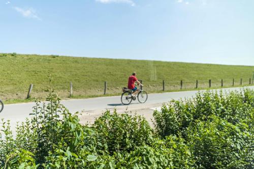 a man riding a bike down a road at Surfbrett 1 - Zimmer mit Deichblick in Dahme