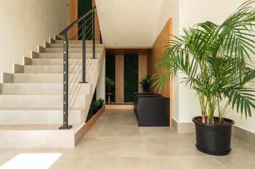 a hallway with stairs and potted plants at Cockleshell Villas in Basse Terre Town