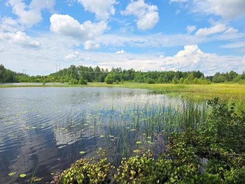 a large body of water with trees in the background at Bed & Breakfast de Jager in Strömsbruk