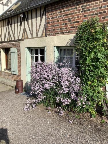 a bush of purple flowers in front of a building at La Cour de l'église in Saint Germain la campagne
