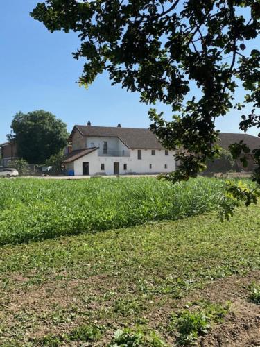una grande casa bianca in un campo con un albero di Agriturismo AgriTexS a Savigliano