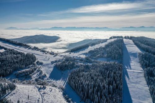 an aerial view of a ski slope in the snow at Bergapartment Simonhöhe in Zirkitz
