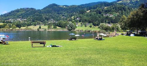 a park with benches and a lake and a mountain at Bergapartment Simonhöhe in Zirkitz