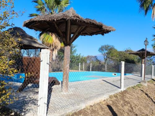 Un perro parado bajo una sombrilla junto a una piscina. en las palmeras,Valle Viejo,Catamarca, dpto 1er piso, en San Isidro