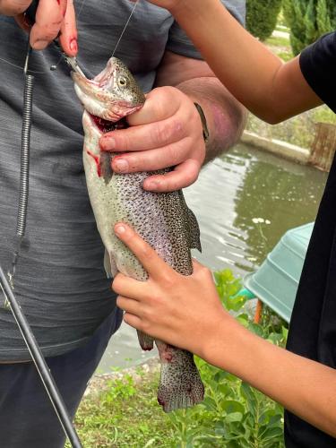 a person holding a fish in their hands at Valea Salbatica in Şinca Nouă