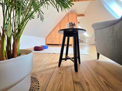 a black stool in a living room with plants at Chalupa u Jezírka ve Střihově 