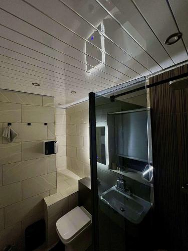a bathroom with a toilet and a sink at Luxeliving The Larch Residence in High Hazels
