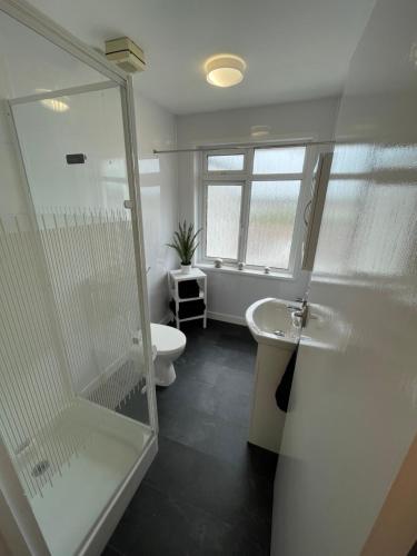 a bathroom with a shower and a toilet and a sink at Beckington House in Braunton